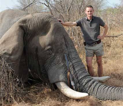 To you it may just be a trophy,
but to that creature it was her life.
To that family, they lost a mother, a daughter, an aunt and a friend. 

RT if you want to #BanTrophyHunting NOW