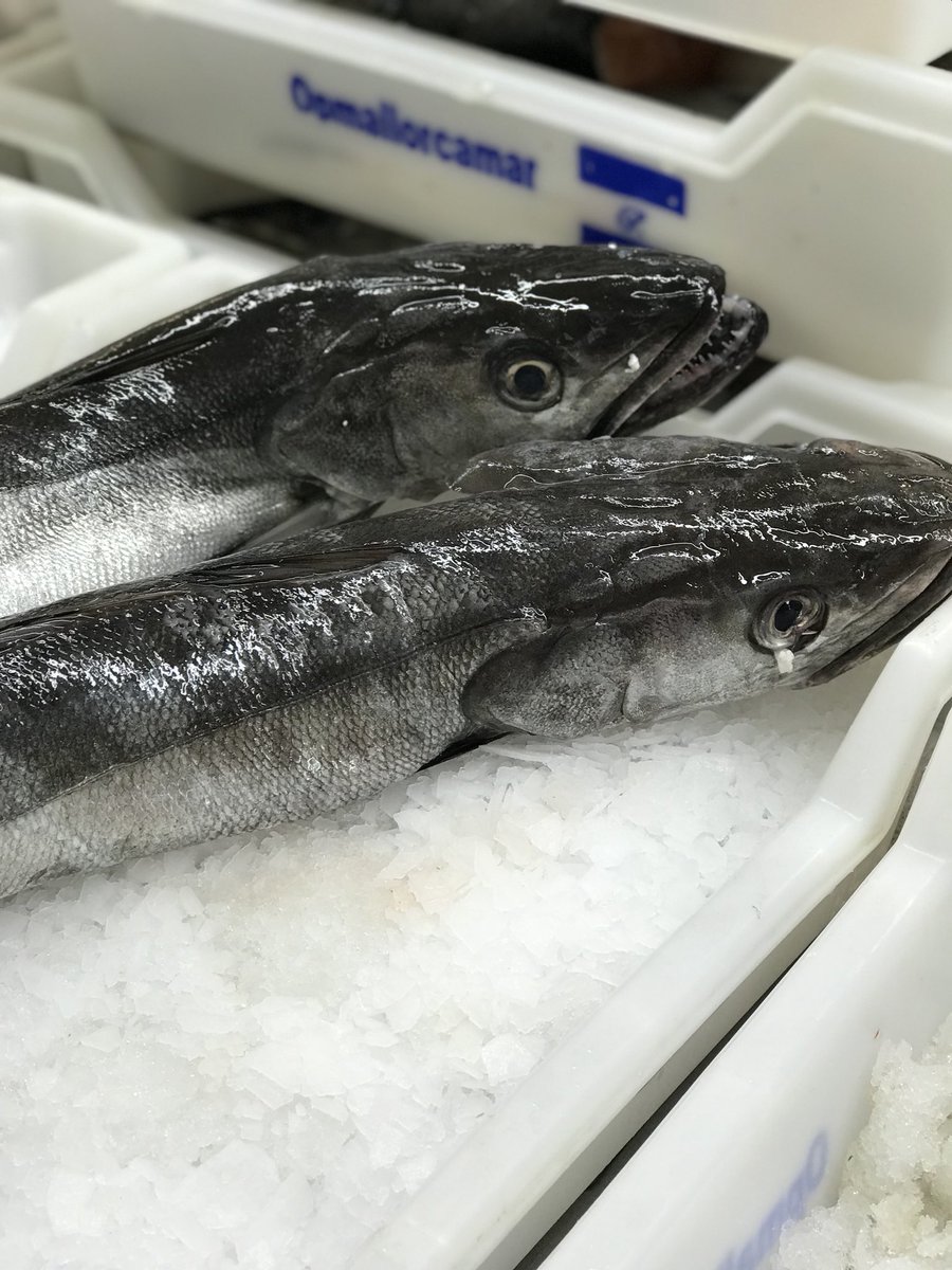ClicLocal_es's tweet photo. Colocant i preparant les comandes a #PeixosDiego #sapobla #mallorca @AldiaIB3 @RafelGallego1 @ATodoPlato https://t.co/ToOY8zKSzL