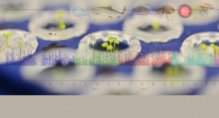 biochem_pharma's tweet image. a combination of the #latest_tools in genomics, molecular genetics,  #biochemistry and #bioinformatics to study fundamental biological  questions.