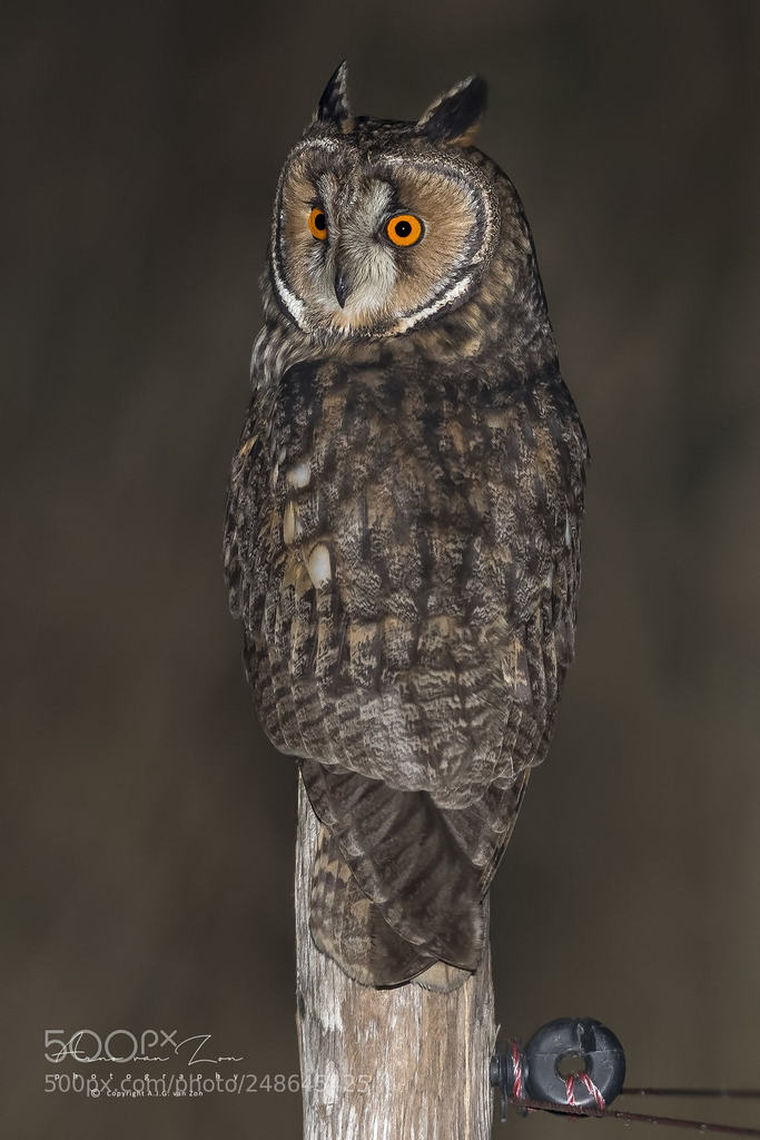 500px Feature Photos tweet media