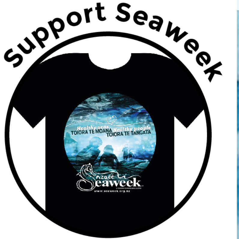cubandanceash's tweet photo. https://t.co/6C4QPfSj8i #nzseaweek #yemaya https://t.co/CVESmW7avV