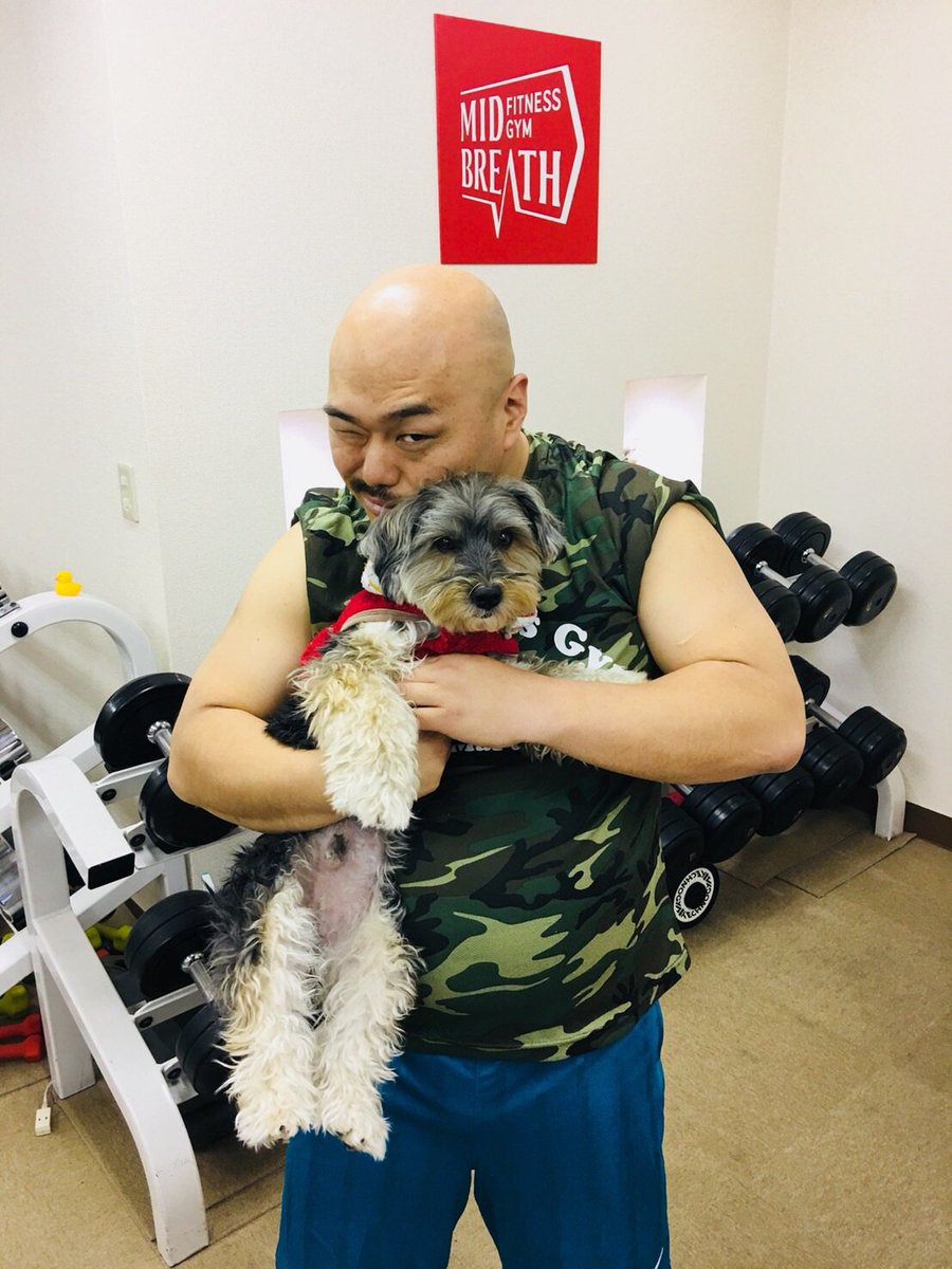 【クロちゃん】 サイボーグクロちゃん | The Fandub Database | Fandom