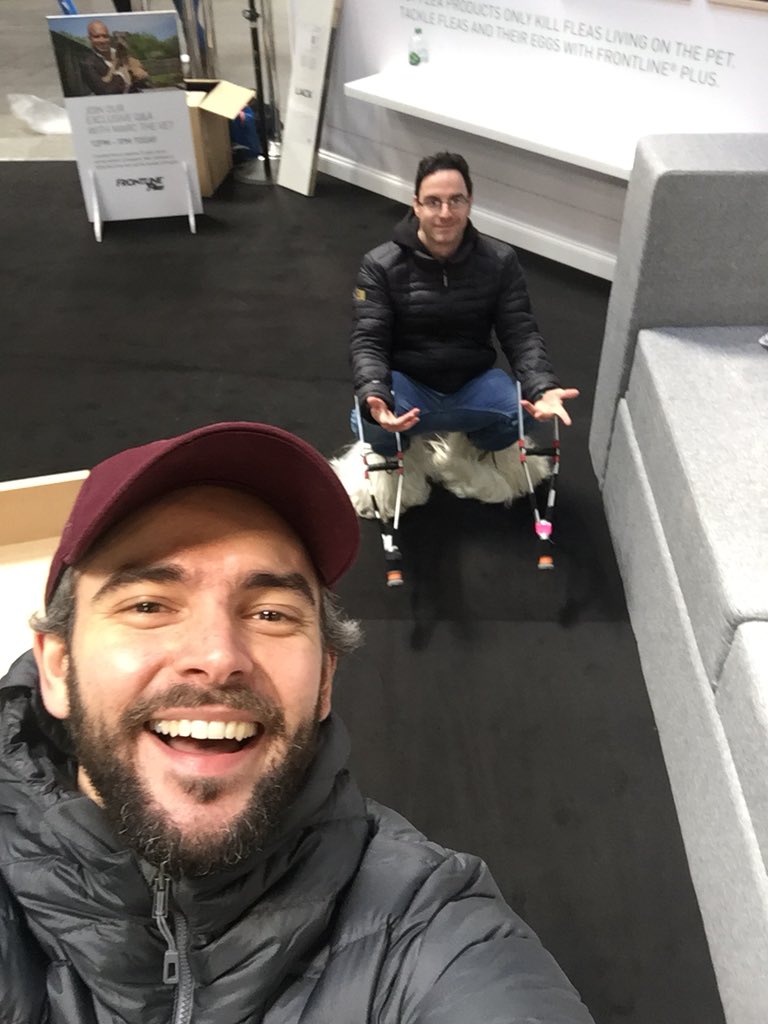 tomKwilton's tweet photo. Just another day at the โofficeโ with this loon #CreaturePerformance #doggydaycare #Artem #Crufts #WhatHaveWeGottenOurselvesIntoThisTime ๐ถ https://t.co/3ceY4vUeOD