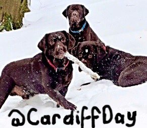 CardiffDay's tweet image. Last day to upload your snowy pictures! ( winning photographer gets a bottle of Prosecco &amp;amp; chocs)
Competition closes tonight and winner will be announced on this page tomorrow.
(Prize to be collected from #Rhiwbina).You could always give it to your mum💕. #MothersDay #TripleT