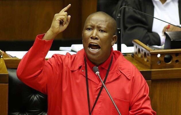 NOCHILL_VODCAST's tweet photo. Happy women’s day to zodwa’s body , her face must wait for Father’s Day .. https://t.co/RyBnSSIPYL