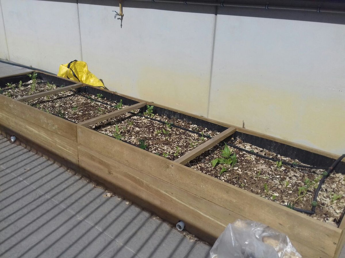 ¡Buenos días! Ya están creciendo algunas plantas en los huertos urbanos instalados en la Facultad de Ciencias de la Educación de la <a href="/unisevilla/">Universidad de Sevilla</a>