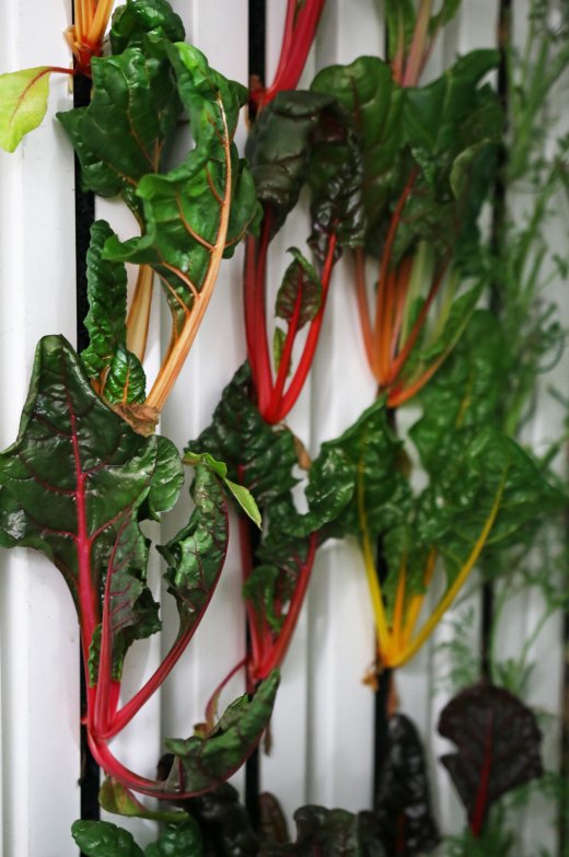 Seeds&Chips tweet media