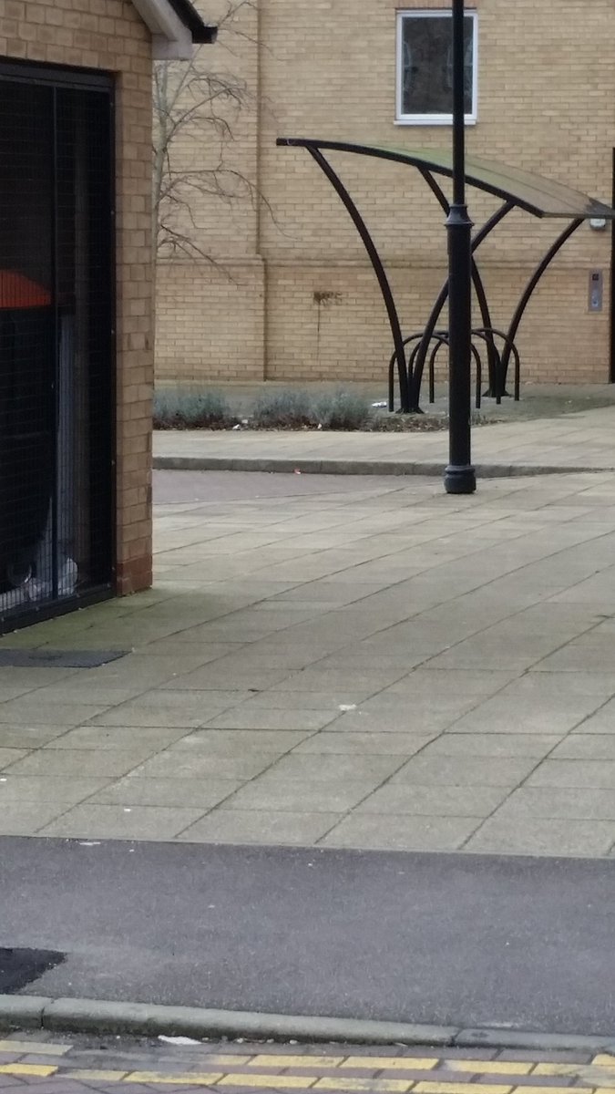 RemusOutNC's tweet photo. #remusmanagementlimited scum destroying #newcardington and making residents pay £200+ on top of full council tax to enjoy rubbish, threats if you ask why or mostly being ignored whilst they count a 56% miss management fee
#fleecehold
#bellway
#remusout https://t.co/5XnojkjScU