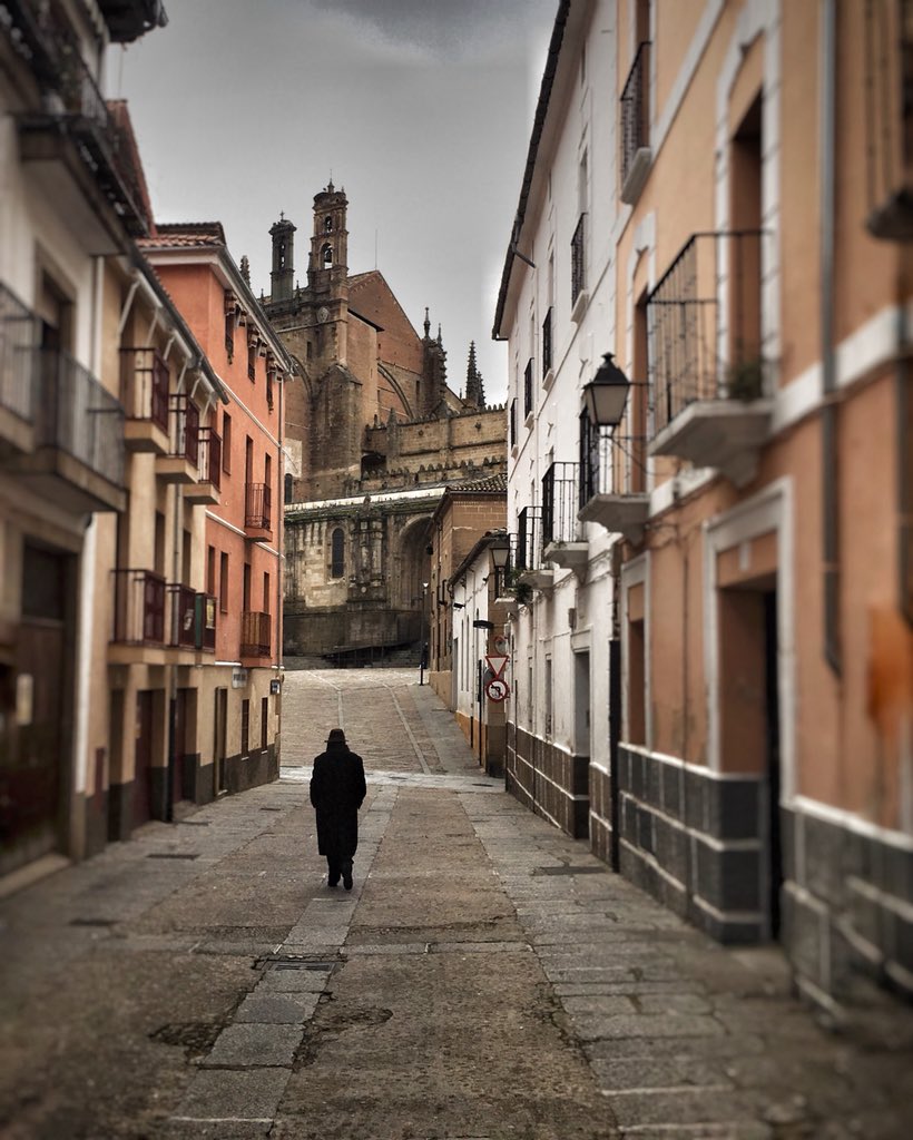 Madrugar tiene sus cosas, encontrar paisajes como estos. Cuajados de quietud, calma, silencio y aroma.
Después vendrá el bullicio, los coches y el traqueteo diario. Pero eso será después.