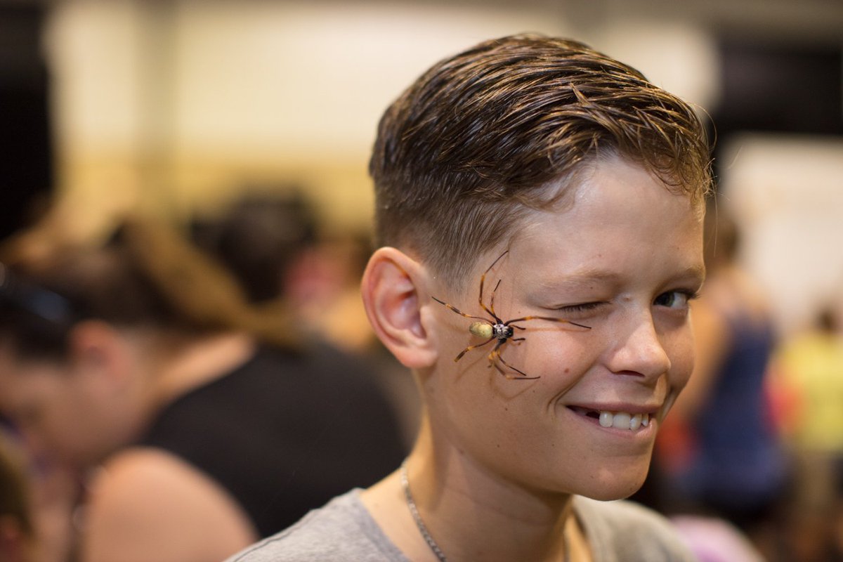 WSFBrisbane's tweet photo. Who’s ready for #WSFBRegional #CommunityDay at Chinchilla Cultural Centre
Enjoy a great family day out and discover the wonders of #science through hands-on activities, fascinating speakers, @qldmuseum experts & displays. #WSFB2018 #QGC #ShellAustralia https://t.co/wpMJISHTdf https://t.co/SqCIsLWR3u