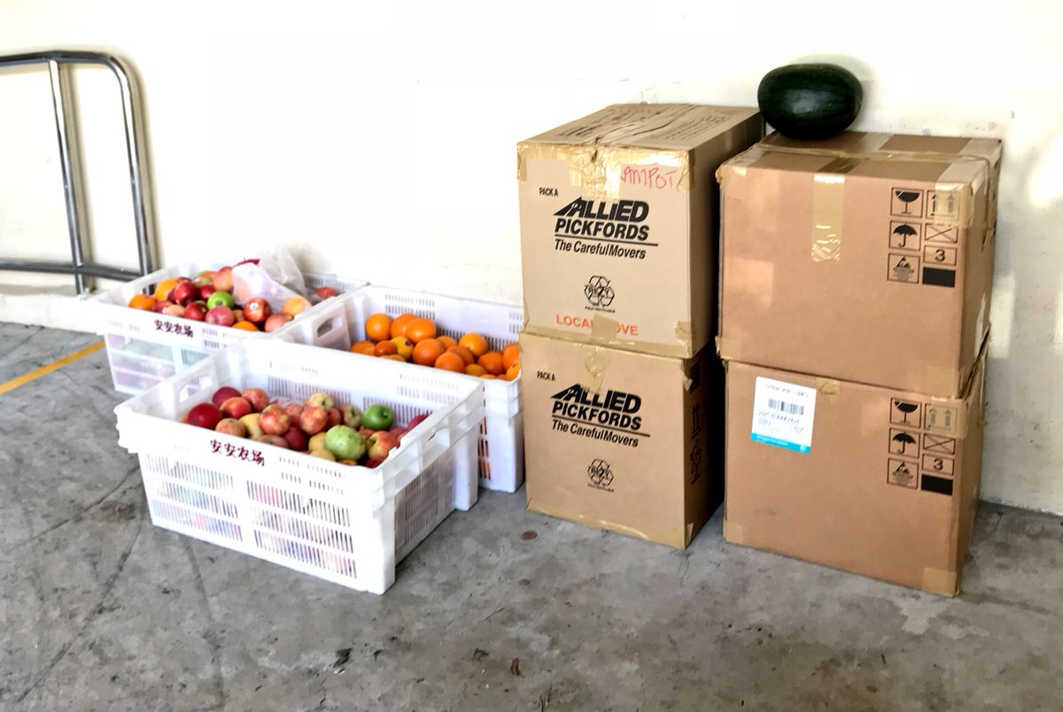 gpsillides's tweet photo. Always the lone melon #freshfruitfriday #fff to Willing Hearts #uwcservice @cpsillides #BeTheChange #uwclearn #tgif #workout #4boxes #6crates https://t.co/02G8FYQwYc
