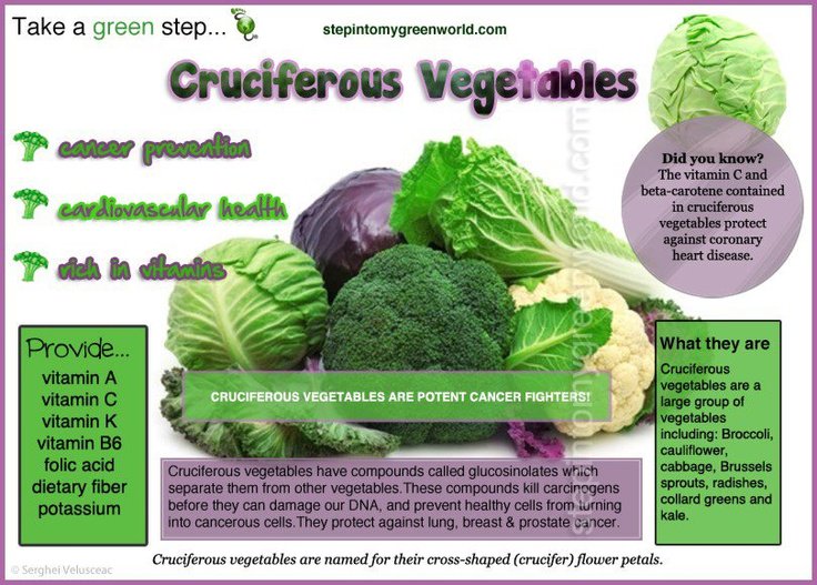 AHealthBlog's tweet photo. How many calories are in broccoli? ➡ https://t.co/cOOwciLtvp https://t.co/CgLw2Q4t1F