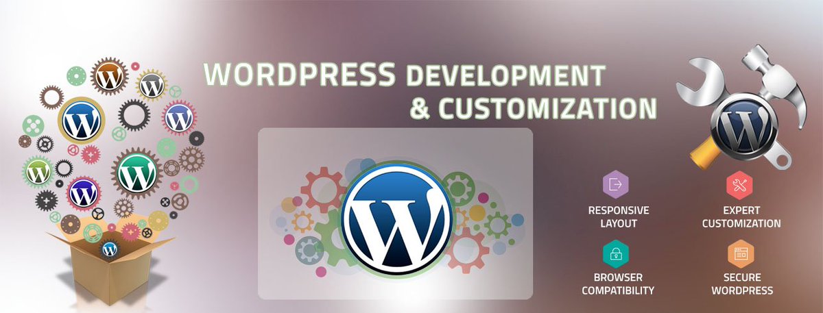 Solo_Stream_web's tweet image. We provide #customWordPressdevelopment, #themes, #eCommerce and #generalwebsitesolutions to suit your needs.
