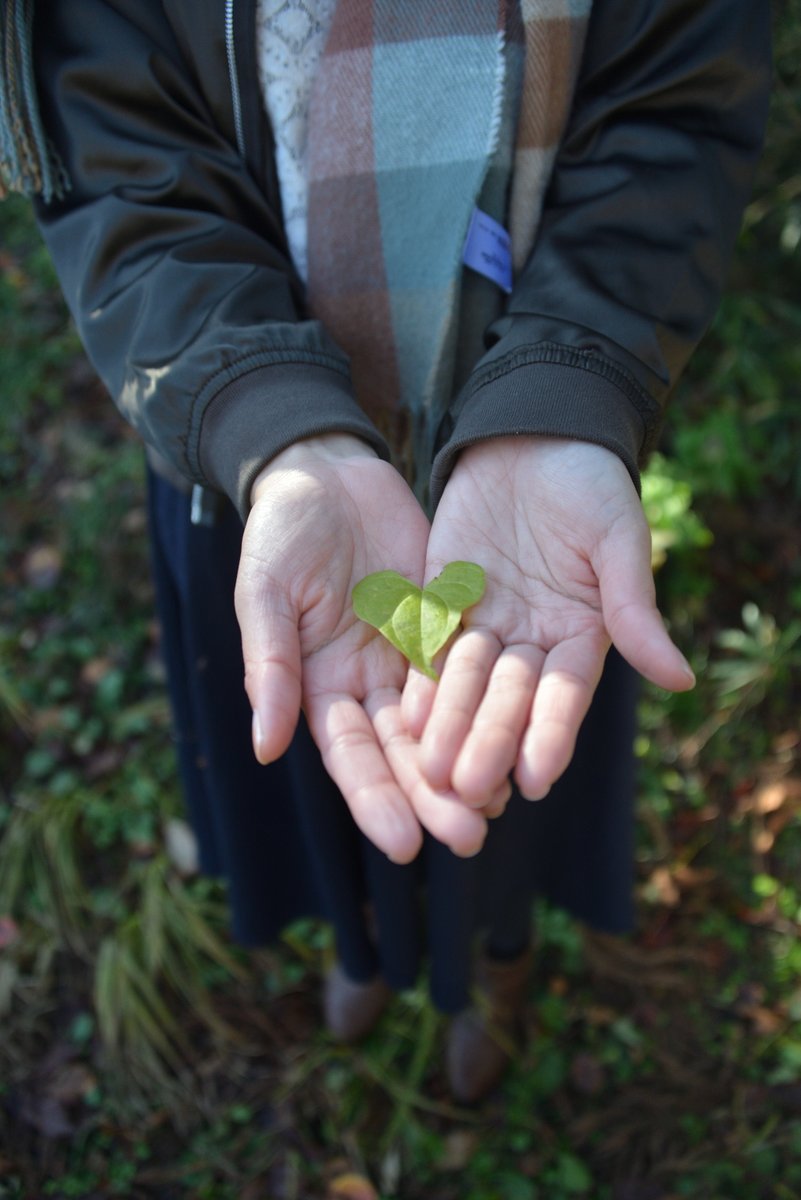 まだ名前のないカメラサークル 宮城県の社会人サークル 写真 カメラ好きな人は是非遊びに来て下さい 仙台 カメラサークル メンバー募集中 カメラ好きな人と繋がりたい 写真好きな人と繋がりたい ファインダー越しの私の世界 ポートレート