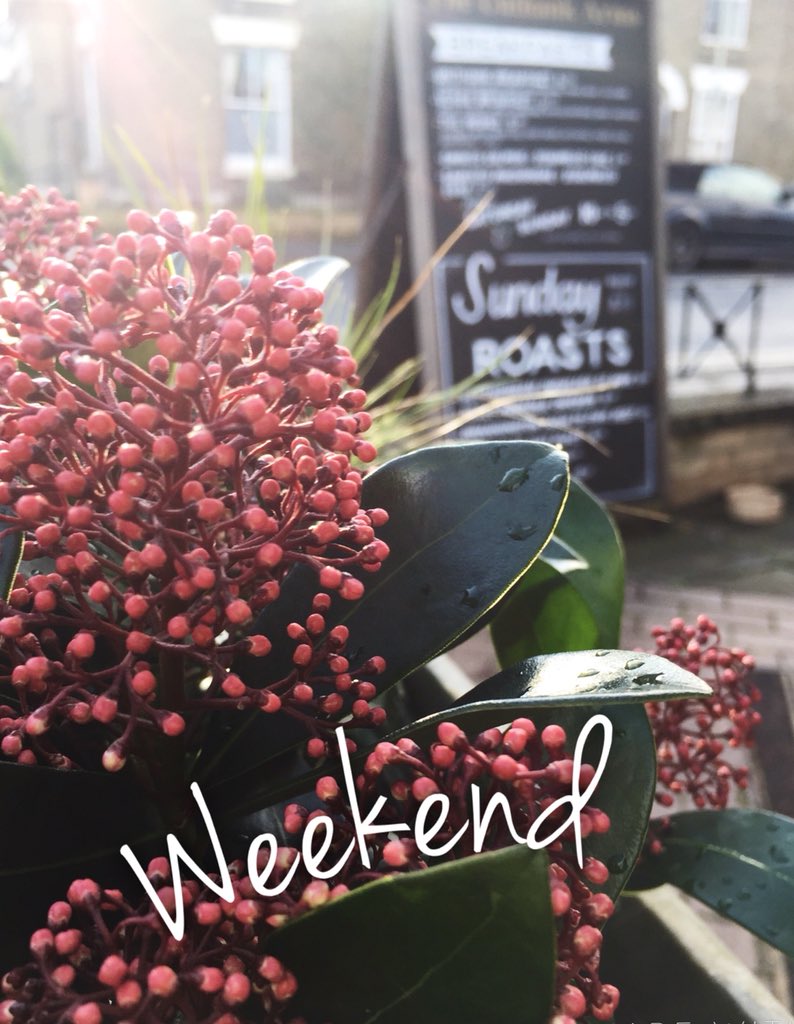 The weekend’s here ✨🤸‍♀️✨
•Serving food Friday 12-2pm &amp; 6-10pm

•Serving food Saturday ALL DAY !
Breakfasts 10-5pm
Full Menu 12-10pm

RUGBY 🏉 Saturday &amp; Sunday 

•Sunday 🌼MOTHERS DAY 🌼
We look forward to feeding all the lovely Mums that join us 💕