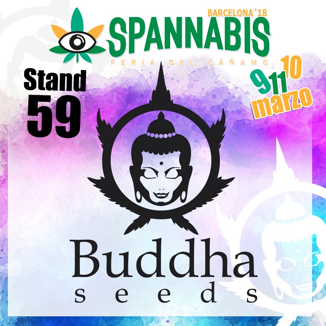 BuddhaSeeds's tweet photo. ¡¡Arranca @FeriaSpannabis 2018!! 🤩🤩 Os esperamos en el #stand59 con nuestras #novedades terapéuticas de #CBD; #Medikit y #AutoMedikit 🌱🔝👩⚕👨⚕ y más sorpresas que conseguirás con compras en el stand de #BuddhaSeeds
💙 #CultivaBuddhaSeeds 💙 https://t.co/Mox0yiAG39