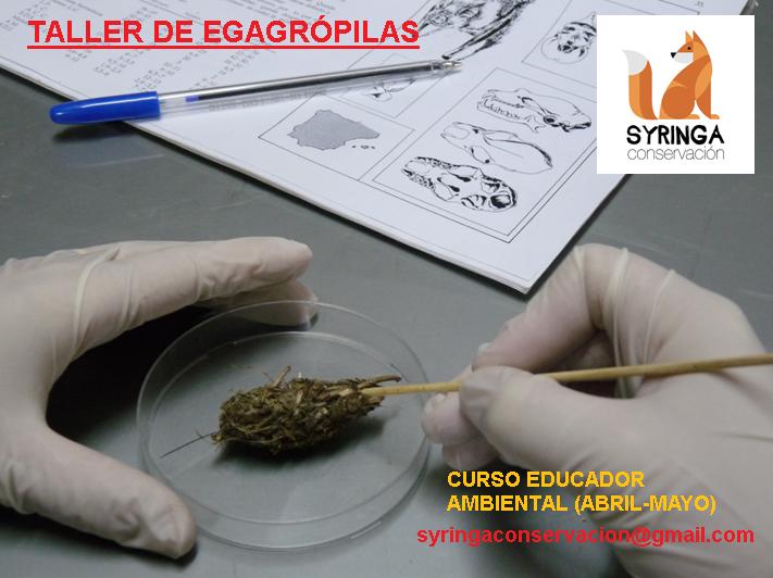 Una de las herramientas que utilizaremos en el Curso de Educador Ambiental! ABRIL-MAYO 2018
Información y reservas: syringaconservacion@gmail.com
#EducaciónAmbiental #syringaformación #Biologíadelaconservación