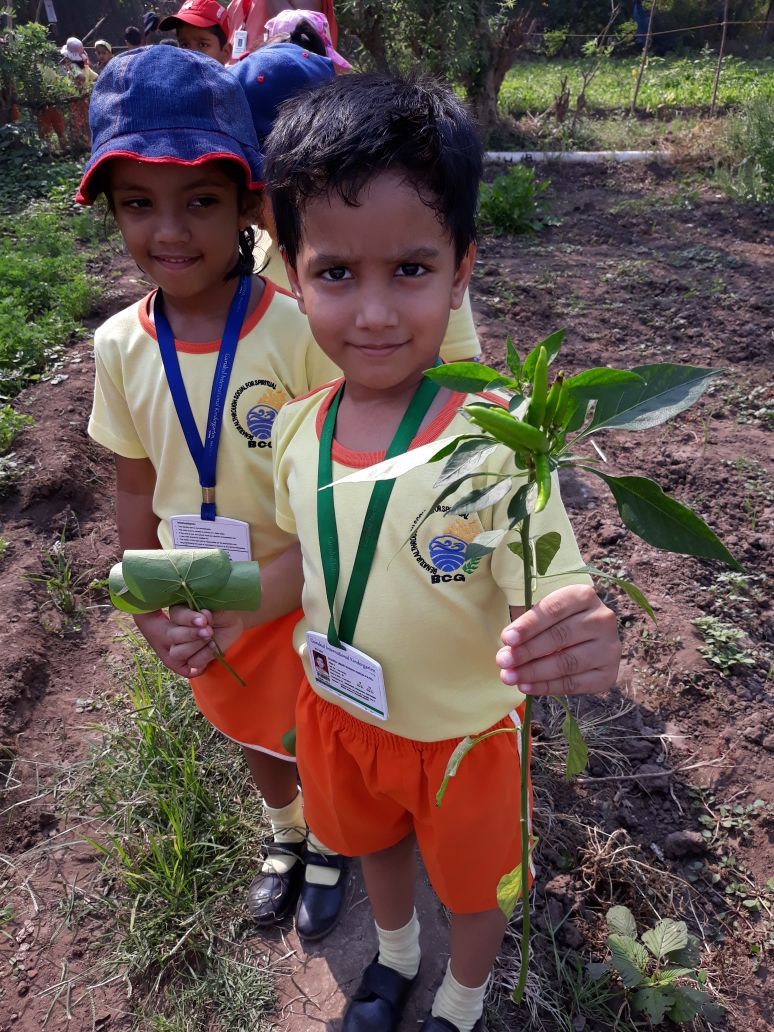 vbsis_official's tweet photo. It was a great way for students to see up close a variety of vegetables and how they are grown.  They experienced the excitement of the colourful veggies through touch and smell.  The visit not only generated more learning but help to form lifelong healthy eating habits. https://t.co/FAN65bDQPL