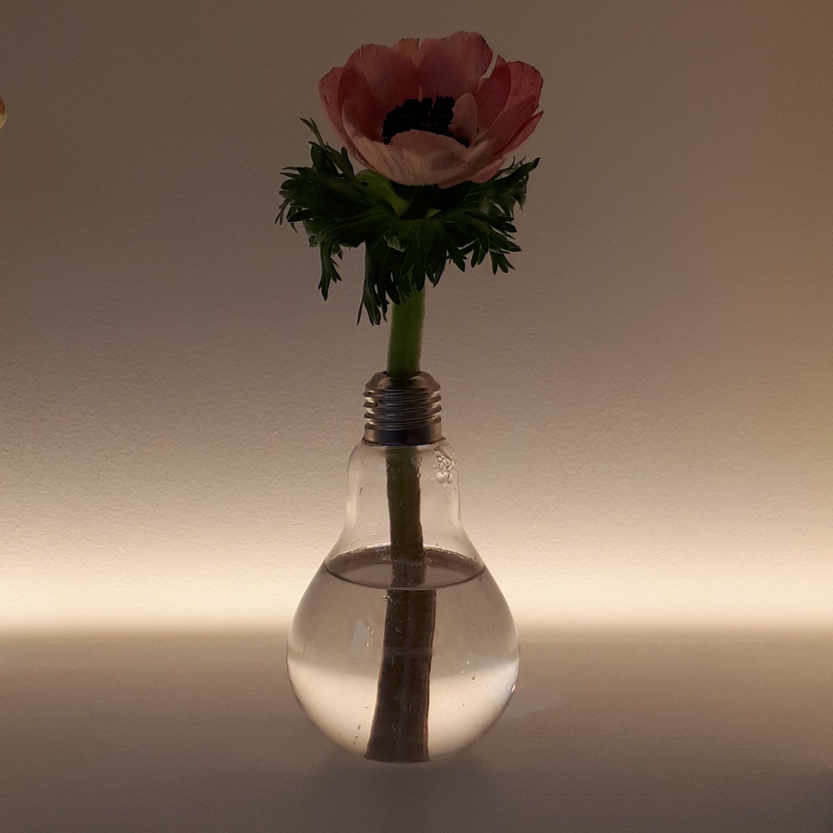 <a href="/lightingtechno/">LightingTechnologies</a> #interiors#lighting#
A simple back light