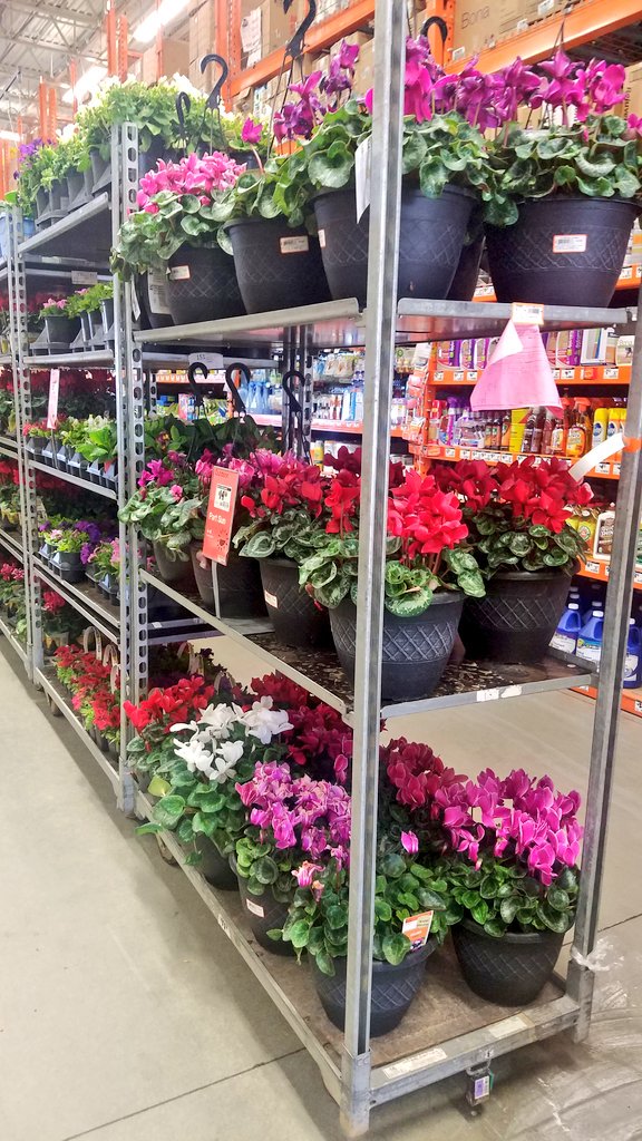 pauld_PBF's tweet image. Thank you Thurson Wang and your team at HD151 for your support in cold weather protection...
@freddyplants @JohnTuten2 @Brad_Peebles @ChrisBergHD  @PBFmedia @wachitgrow 
#protectionplan #whenitscold #waytogo