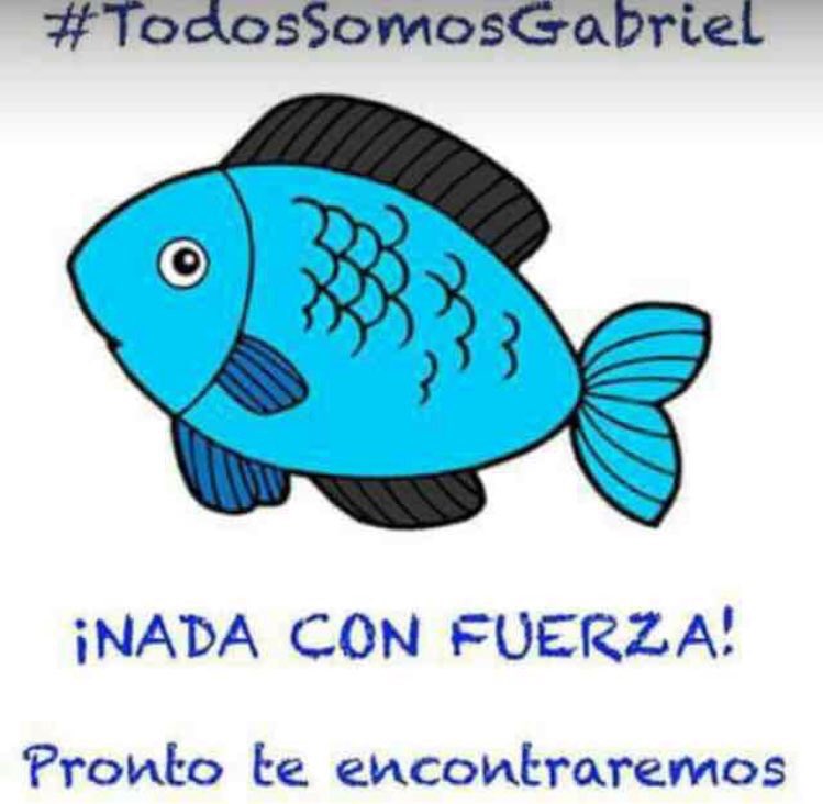 Os pedimos que difundáis esta imagen, es un pequeño gesto que ojalá sirva y ayude a que aparezca el pequeño #GabrielCruz #todossomosgabriel