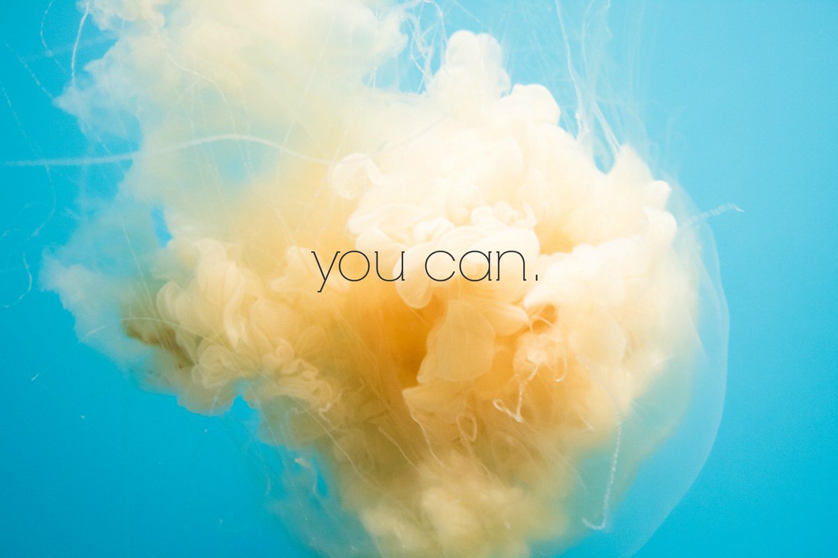 Feeling all the feels from #internationalWomensDay #youcan #WeAreTheLeaders #empowerwomen #wearewomen #fridayfeels #abroadsview #denverbroads #womenofdenver #coloradobroads #internationalbroads