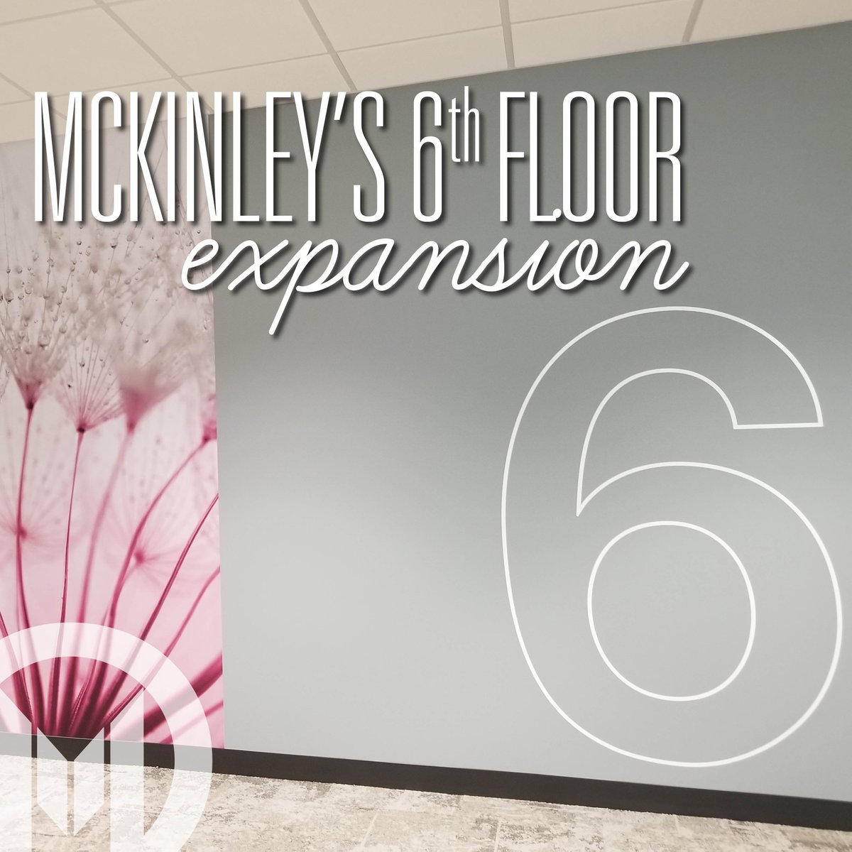 Moffitt's McKinley Center is expanding! The 6th floor is due to open March 12 and will offer: Senior Adult Oncology, GeneHome, Survivorship Program, Breast Plastic Surgery, Genetic Risk Assessment, CardioOncology, Integrative Medicine-Massage Therapy, and Multi-Specialty Clinic.