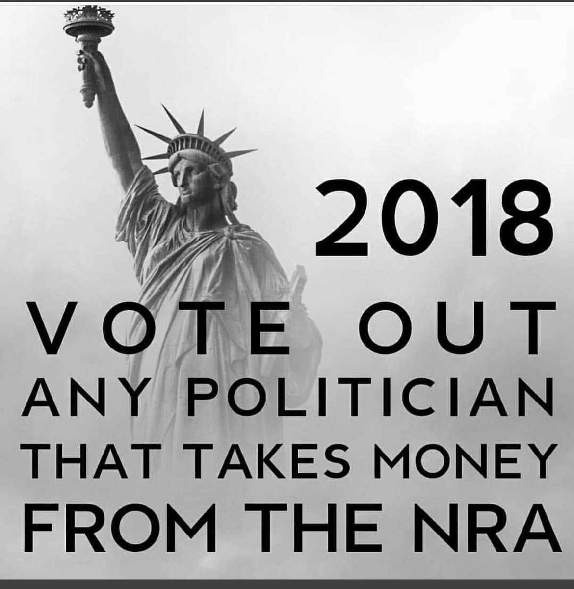 rhonda_harbison's tweet photo. @Christi39727479 @miamibeachdude @davidhogg111 Let's vote all of them out #WehastheWisdom #NeverAgainMSD #EnoughIsEnough https://t.co/dRmFkFNObJ