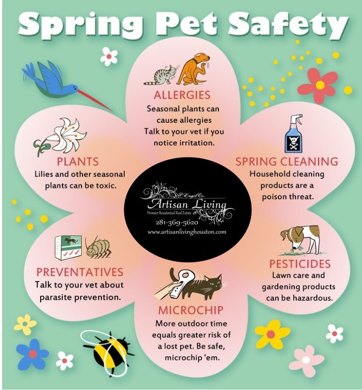 EngelCoLockwood's tweet photo. Spring Pet Safety Tips https://t.co/lCdEb0pFzT