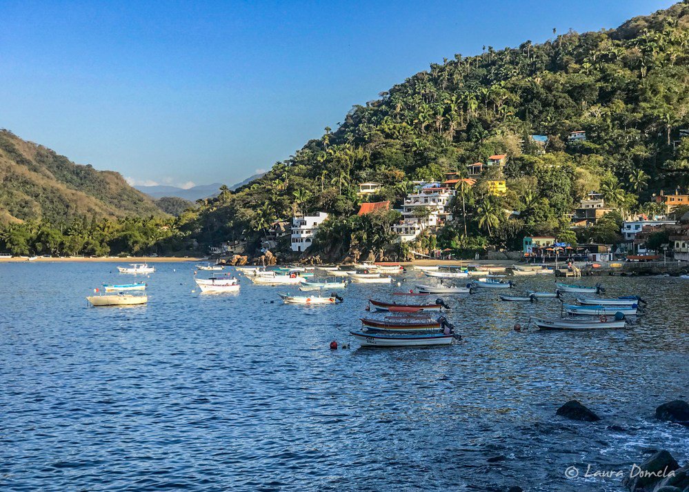 rivetedblog's tweet photo. Tacos y Mas in Yelapa https://t.co/YyxwrCg62d https://t.co/5XYuJ3C9nP