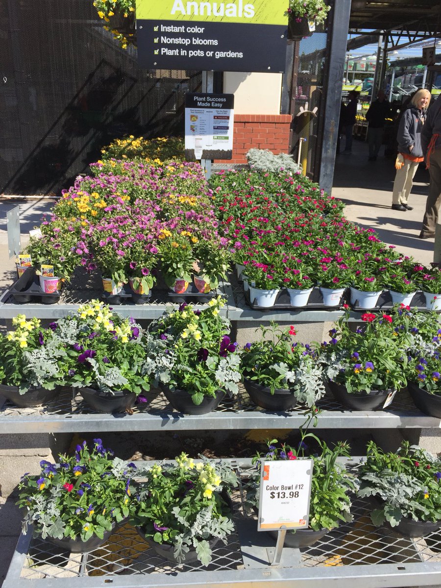 rmathis333_rick's tweet photo. Home Depot 4643 Virginia Beach #weekendpowerplay @THD_HXT @Pat_Fischetti @JTheriaultTHD @brettguthrie8 @BellNursery @GaryMangum https://t.co/80zC8CZ5jS