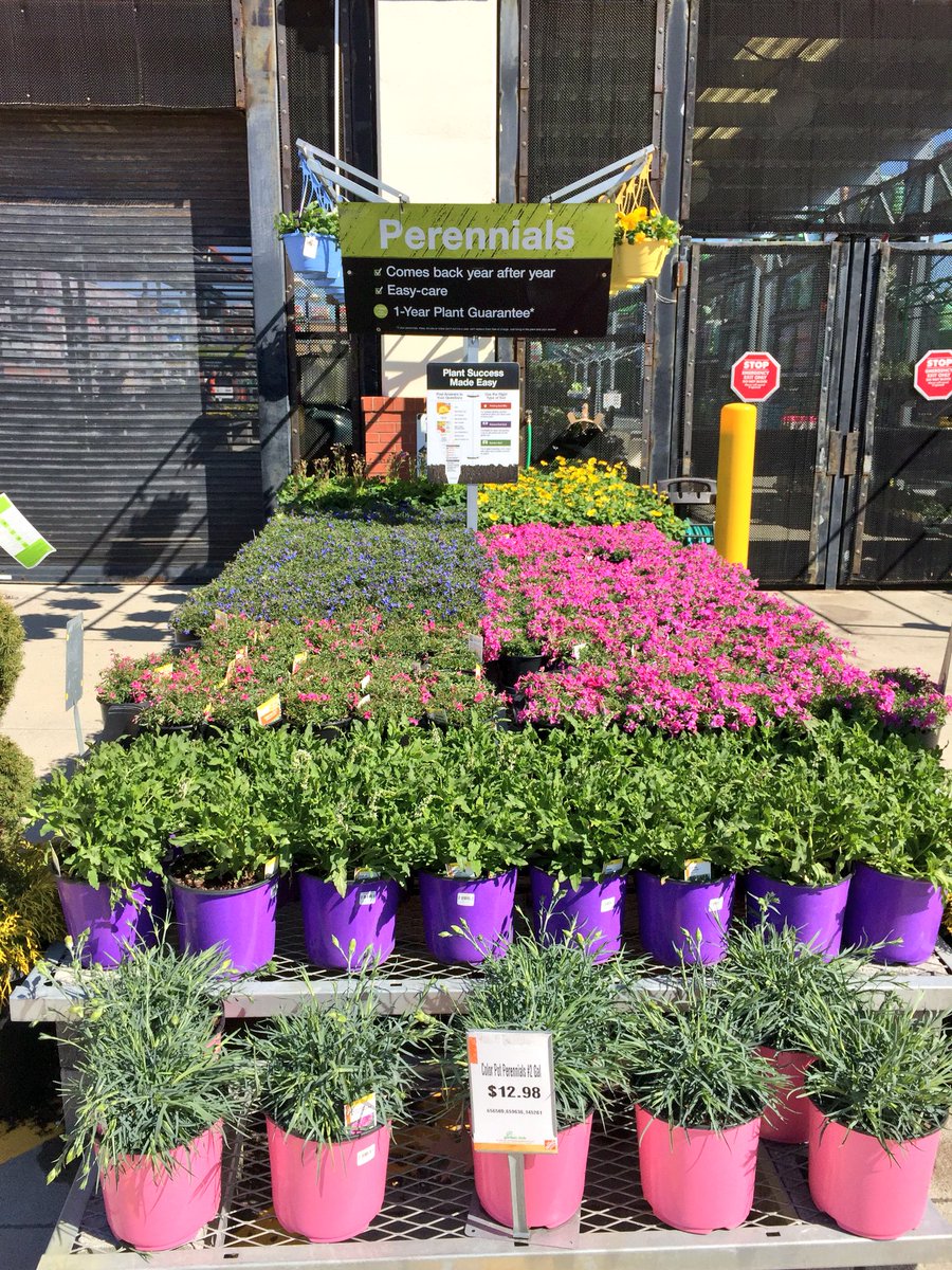 rmathis333_rick's tweet photo. Home Depot 4643 Virginia Beach #weekendpowerplay @THD_HXT @Pat_Fischetti @JTheriaultTHD @brettguthrie8 @BellNursery @GaryMangum https://t.co/80zC8CZ5jS