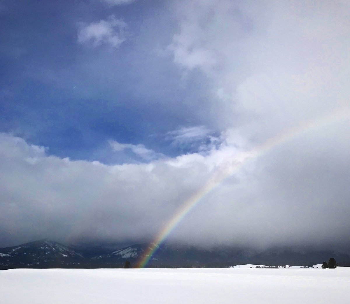 eedesigncenter's tweet photo. “My favorite state has not yet been invented. It will be called Montana and it will be perfect.” ~Abraham Lincoln 1864 #earthelements #imagineletscreate #montana #bigskycountry #perfect #beautifuldestinations #luckytolivehere https://t.co/qab0JYyQjQ