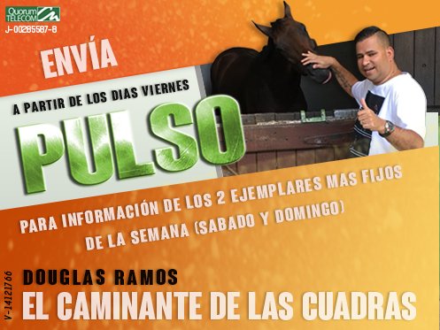 dramoscaminante's tweet photo. #HIPISMO #HIPICOSENACCION ¡YA ESTA ACTIVADA! La etiqueta #PULSO del 3129, ¡Vamos invictos! Son 2 ejemplares Que me agradan para jugar SIN MIEDO este fin de semana, Desde #HOY No tenemos miedo Vnzla, Envia #PULSO al 3129, JUEGA SEGURO CON #ELCAMINANTE. https://t.co/FJe3xsb26A