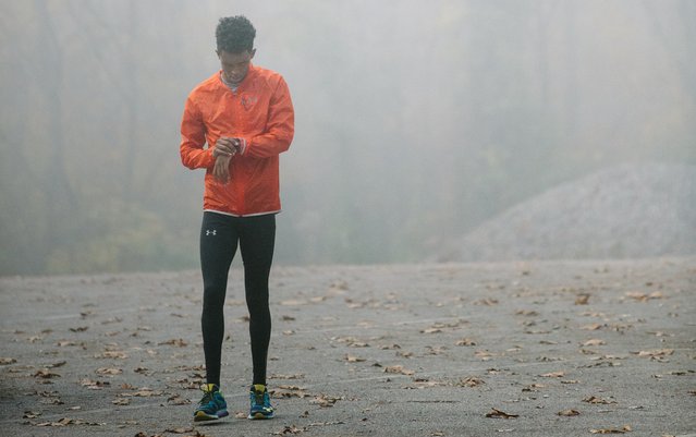 mrsrich95's tweet photo. Here is an essential guide to walking and steps from MyFitnessPal https://t.co/sygeoz1anm https://t.co/RjSKlIijEw