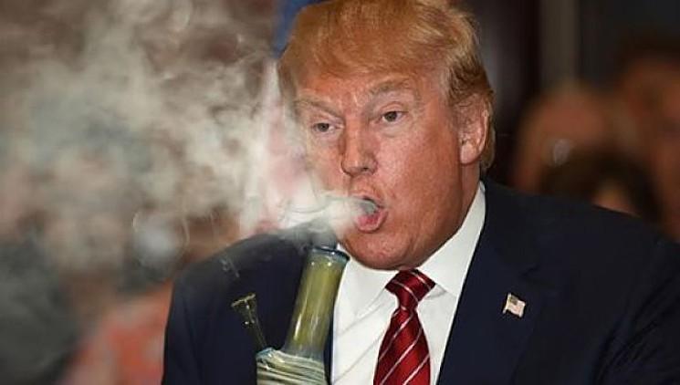 WeederFriendly's tweet photo. BONG RIP-  @WeederFriendly https://t.co/ElSvUmygDL