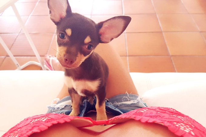 Spring is here with Us!!! 😍🤗🐕❤ https://t.co/76Pv4Uk5nC<a href="/tag/allnatural"class="tags"><span>#allnatural</span></a><a href="/tag/sexy"class="tags"><span>#sexy</span></a><a href="/tag/blonde"class="tags"><span>#blonde</span></a><a href="/tag/blackdress"class="tags"><span>#blackdress</span></a><a href="/tag/greeneyes"class="tags"><span>#greeneyes</span></a>