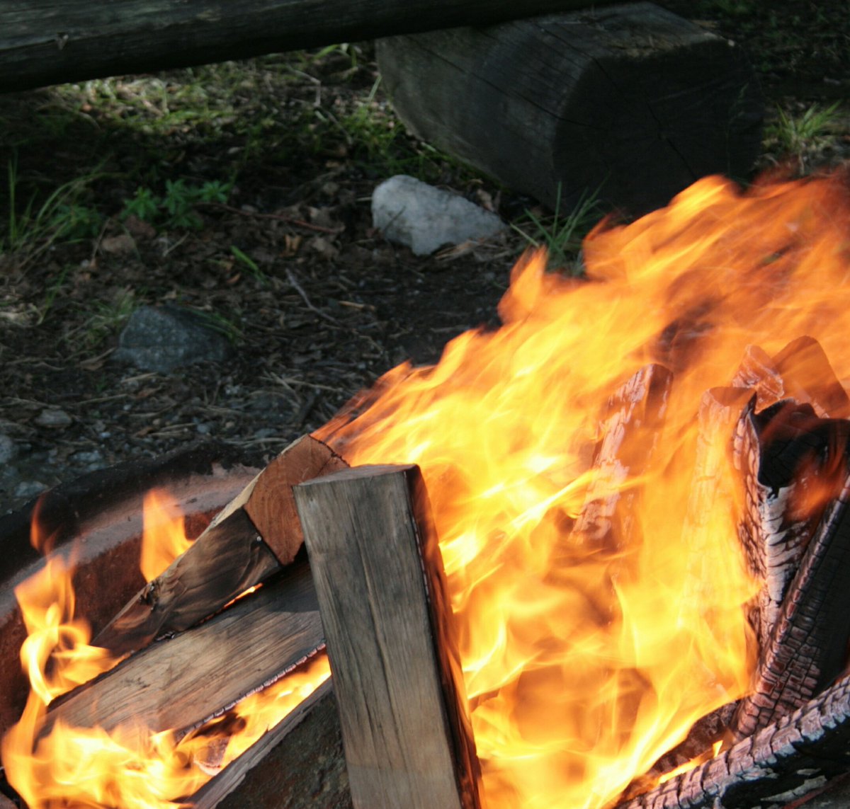 drivenfar_com's tweet photo. FIRE - always at each of our camps๐บ๐๐๐ #underground #toyotalandcruiser #reizen #loveit3 #expediyionrussia#holidays #withmyfave #drivenfar #june #thepackage #Russia #์ ์ฉํ #4x4 #top #photo #try #funny #้ฃ่กๆฉ #็พฝ็ฐ็ฉบๆธฏ #jal #tree #beauty #adventure #offroad #forest https://t.co/ow0DFsLQSP