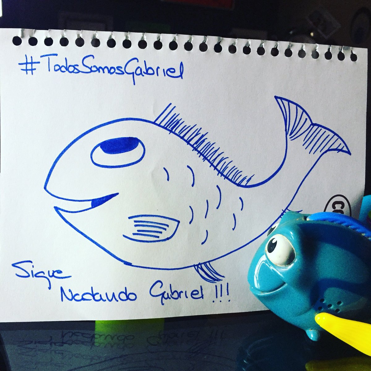patriuska_chan's tweet photo. #TodosSomosGabriel https://t.co/EqPdntM5u5