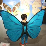 こんなに可愛い姿は今しか見れない!？是非いってほしい生きものになれる展!
