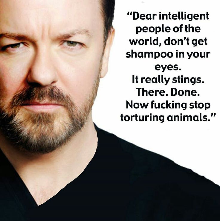 Another #ThoughtOfTheDay from @RickyGervais ~ "Dear intelligent people of the world, don't get shampoo in your eyes. It really stings. There. Done. Now fucking stop torturing animals!"

#BanAnimalTesting #AnimalTesting #AnimalRights  #RespectAnimals #CrueltyFree
