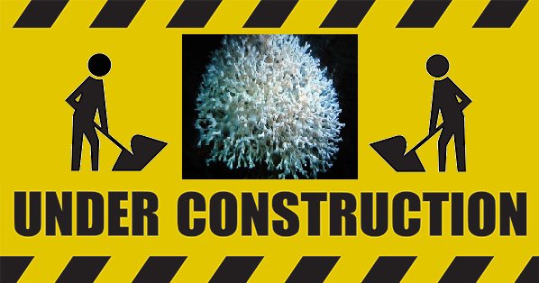 Lophelia is preparing to resurface from the depths! Expect changes, exciting things coming soon…..