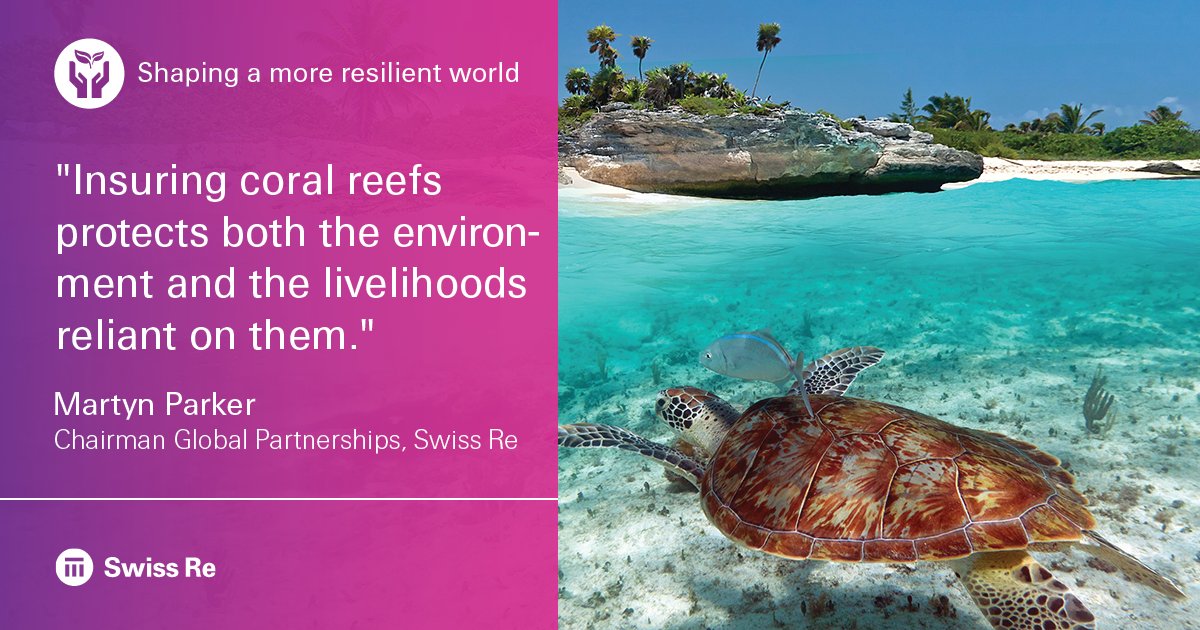 SwissRe's tweet image. Find out how #insuring the #coralreefs can protect economies, the #ocean and the #planet swissre.com/global_partner… @nature_org