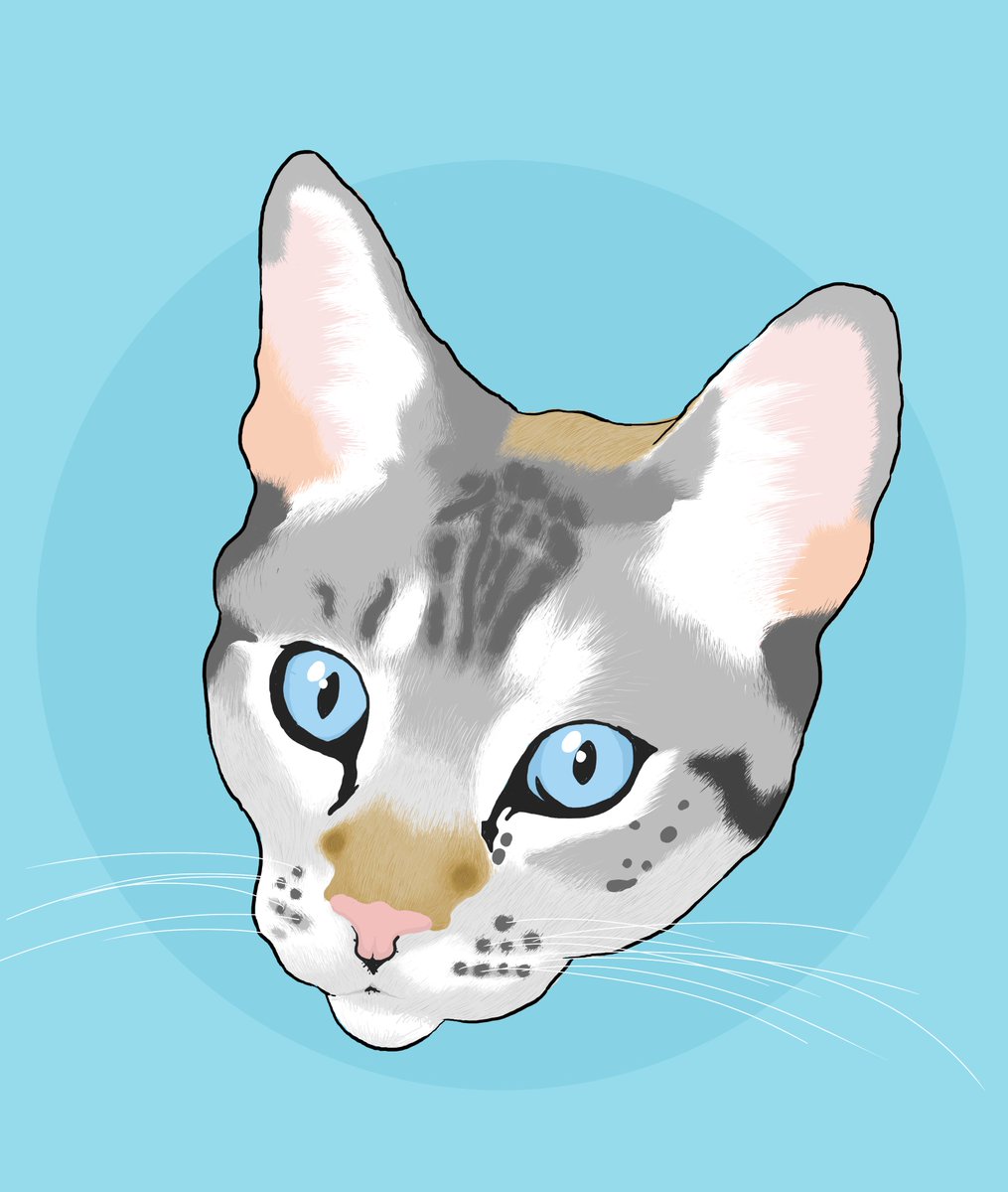 Friday! Lunchtime! SO MUCH OF THE GOODNESS OF THE WEB, DRINK IT DOWN AND ENJOY ITS WARMTH! Ahem. Once again, this is Web Curios - share and enjoy: imperica.com/en/news/web-cu…