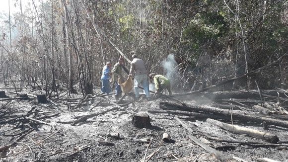 Elsergito1's tweet photo. Controlan incendio en áreas boscosas del municipio pinareño de Guane (+ Fotos y Video) https://t.co/c40rCKzn6h https://t.co/WDFv2JKRpC