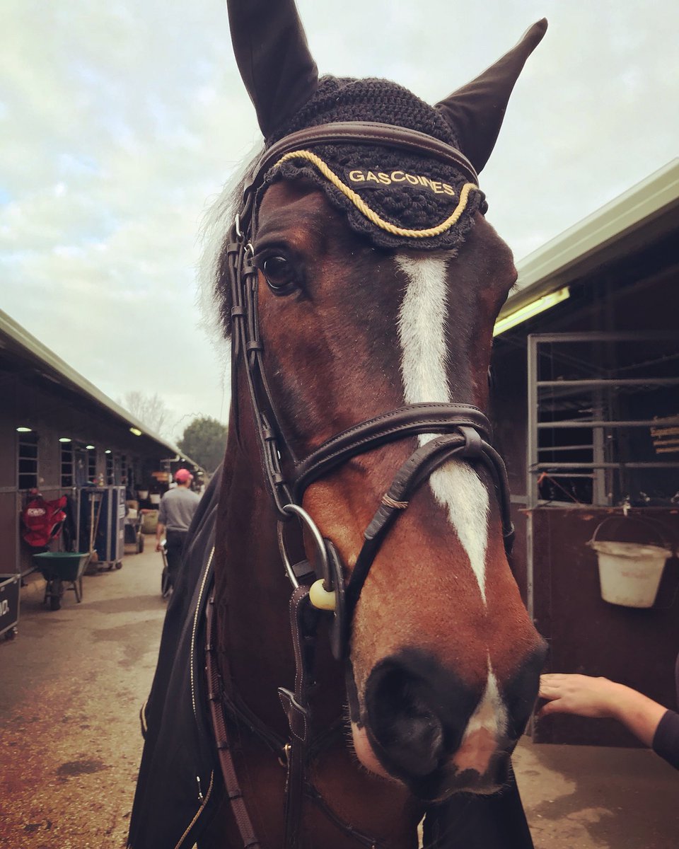 JakeJSaywell's tweet image. Brave Heart jumps a lovely clear in the 1.45 this morning ♥️