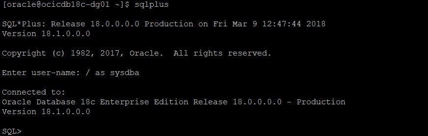 dilippatel_dba's tweet image. My first 18c trial !!!   #Cloud  #Oracle18c