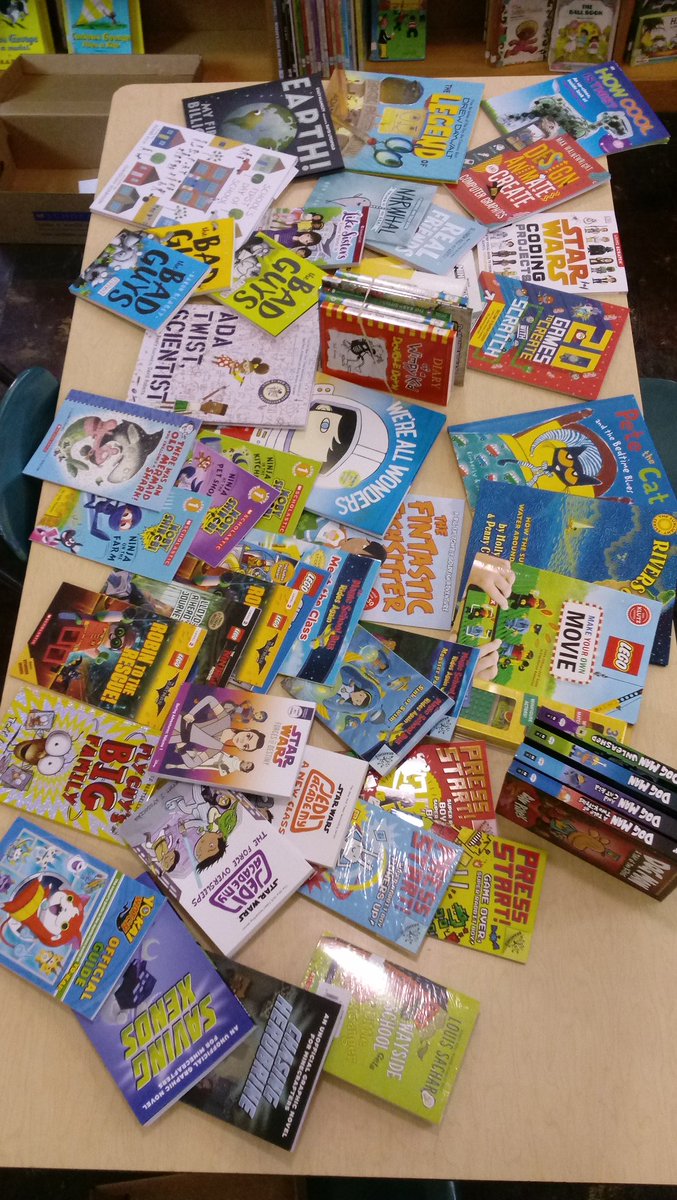 DWSMediaCenter's tweet image. I can't believe it's been a week since the book fair left town. I want to thank the @DWS_PTA for all these great reads and how-to tech books for @DWSMediaCenter ! #weeread #weecode @WeehawkenTSD
