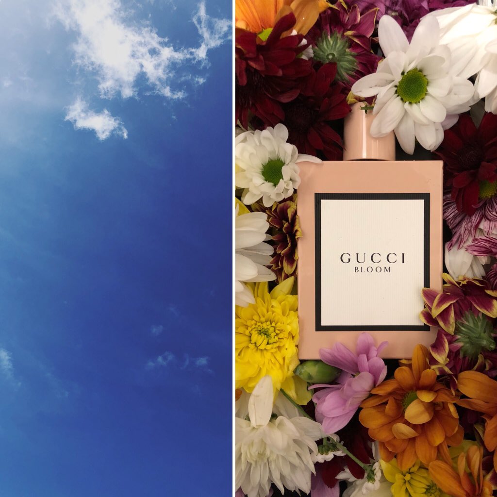 Belfast0012's tweet photo. Such a beautiful day 🌞 days like this you need a beautiful summery fragrance, if you haven’t got one maybe you should try the new Gucci Bloom 💐 @FragranceFDN_UK @TPSPeople @debbers44 @Lorrain33399778 
#NFWflatlay #NationalFragranceWeek #MothersDay #tpspeople #ThePerfumeShop https://t.co/Ddw2FE80TV