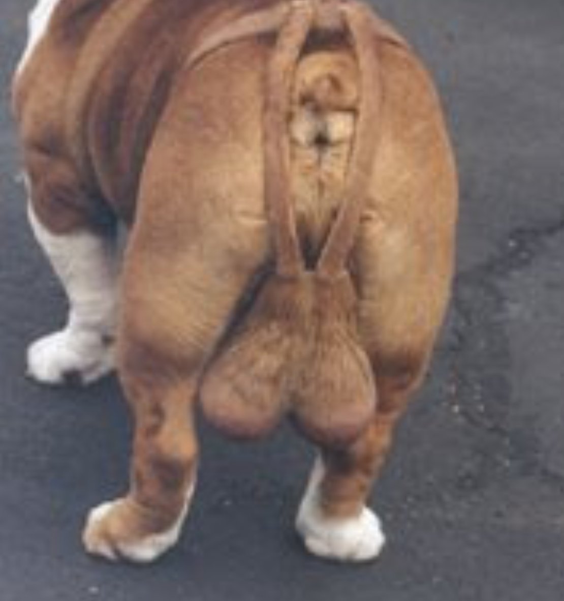 that guy tweet media